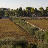 Questa zona � infatti ancora chiamata abbasce a la Fitte (gi� alla Fitta) e proprio per le condizioni favorevoli all�agricoltura fu sede sin dal Neolitico di insediamenti rurali. Nuclei che si sono sviluppati soprattutto tra il X e il XIII secolo dopo Cristo, quando in questa parte di Bari sorgeva la vasta propriet� terriera del casale Cillaro